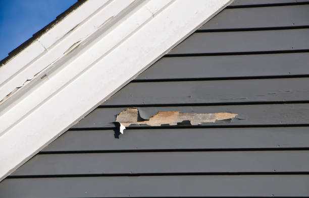 Best Storm Damage Siding Repair  in Englewood, OH